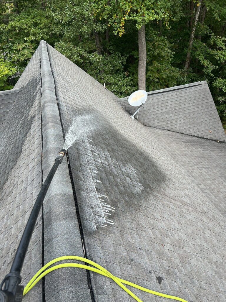 Professional Roof Cleaning in Kernerville nc