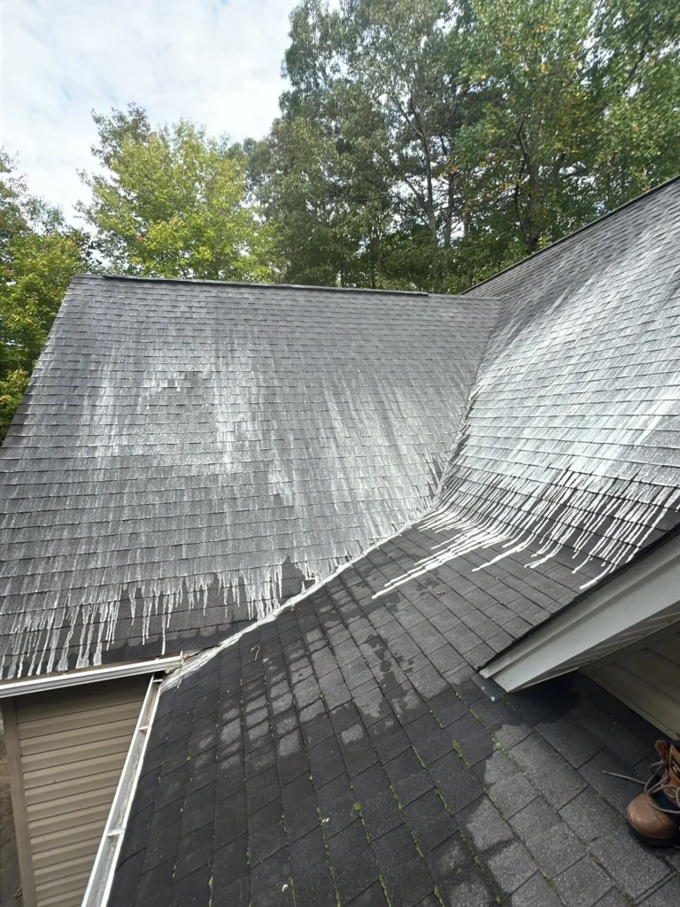 Thomasville NC Roof Washing Services
