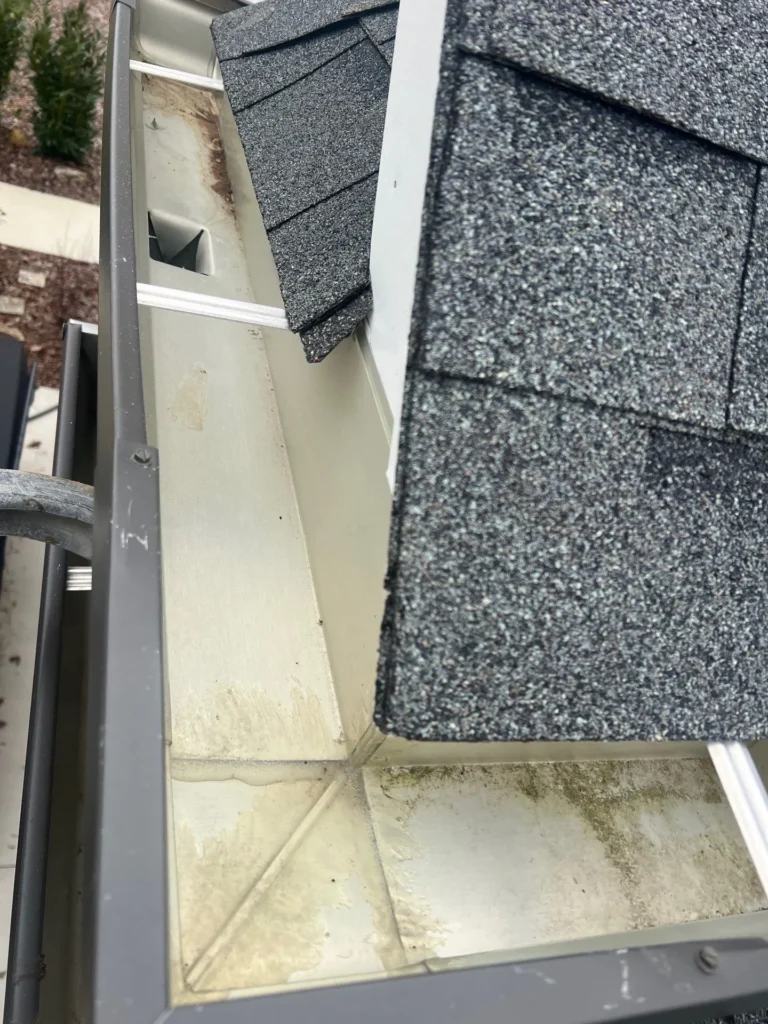 Lewisville NC Gutter Cleaning Services