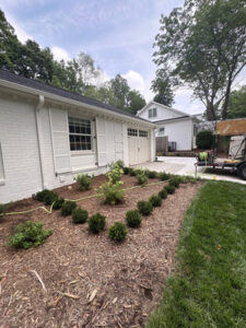 House Wash And Window Cleaning Services in Greensboro North Carolina