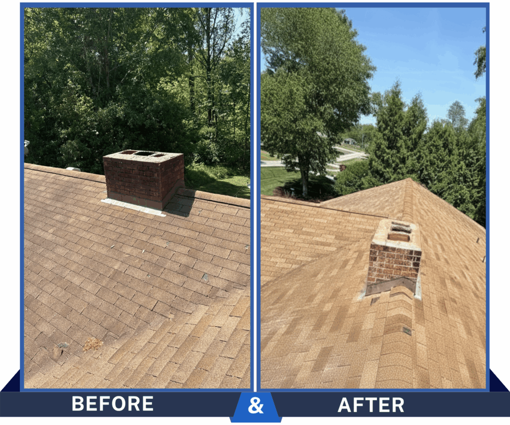 Roof Cleaning