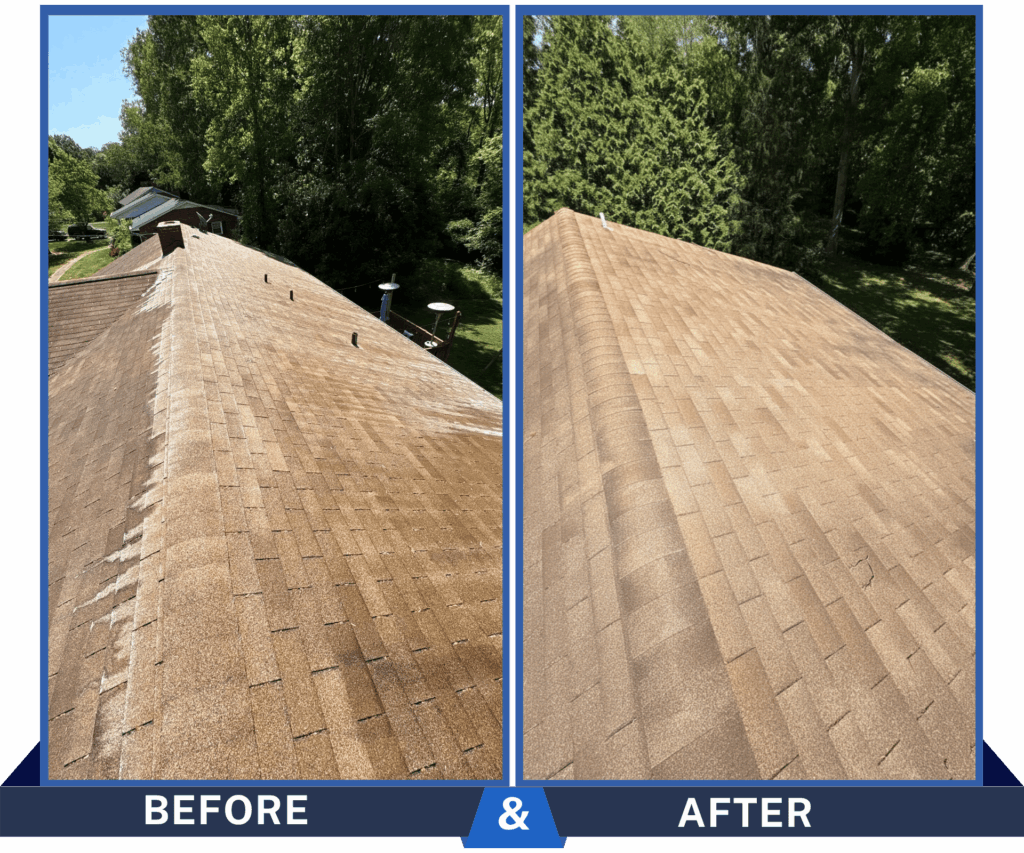 Rooof Pressure Cleaning