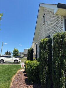 Shed Cleaning And House Washing Services in Kernersville North Carolina