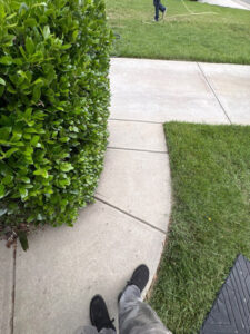 Walkway Cleaning And Maintenance Services in Winston Salem North Carolina