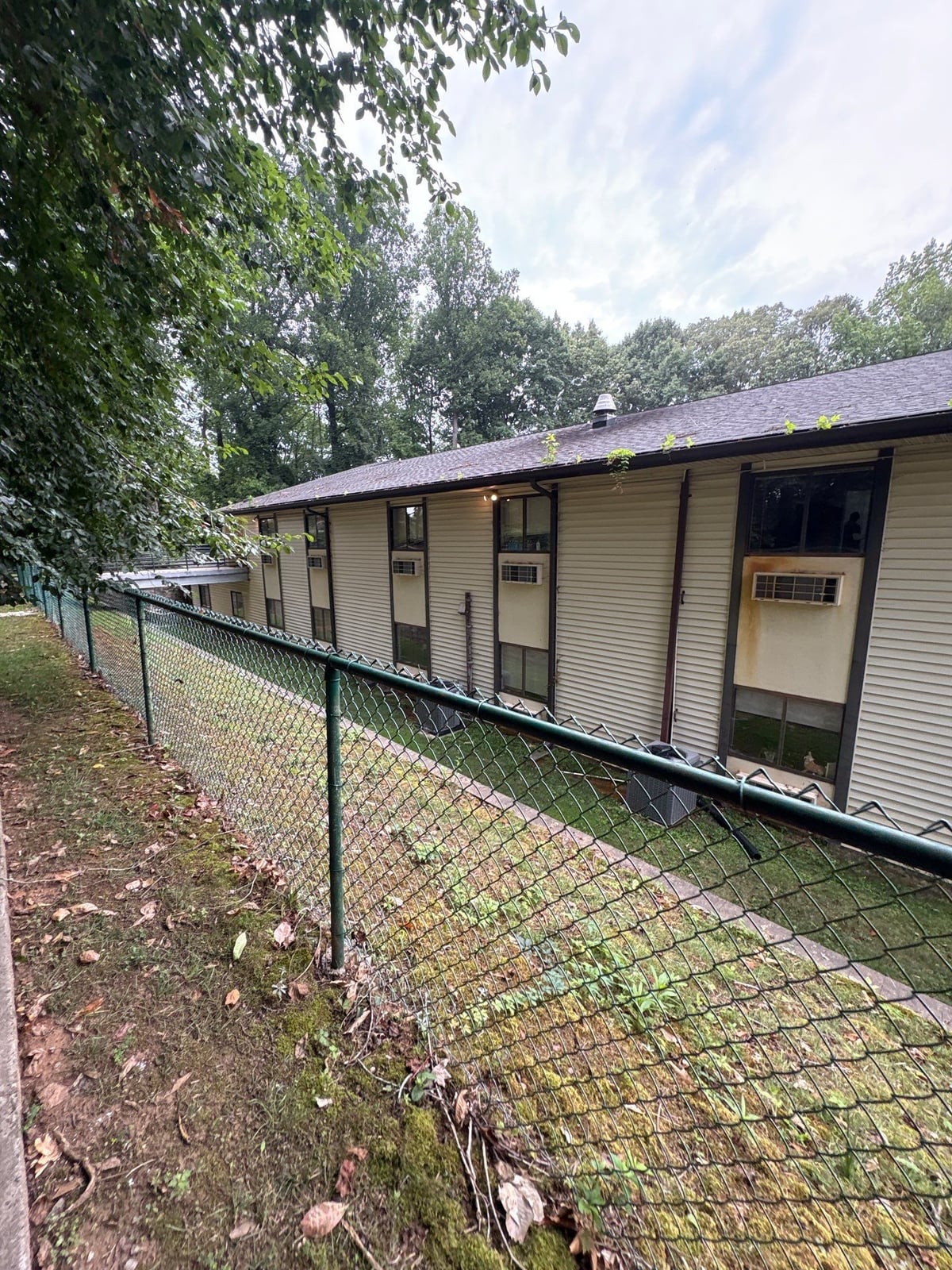 Exterior building washing and cleaning of siding and entryway
