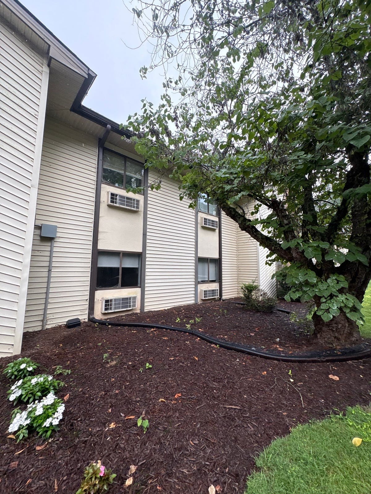 Exterior building washing and cleaning of siding and entryway