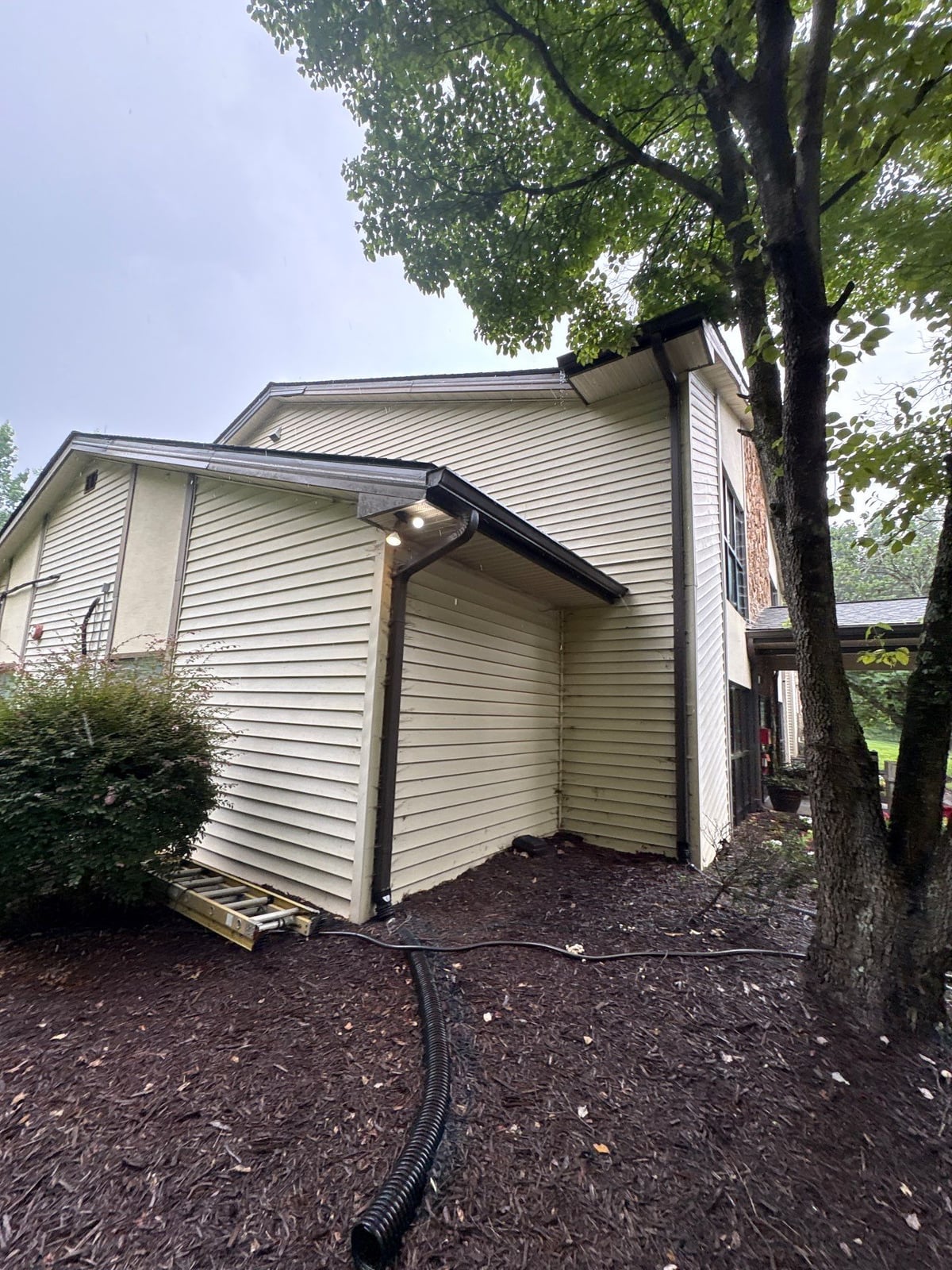 Exterior building washing and cleaning of siding and entryway