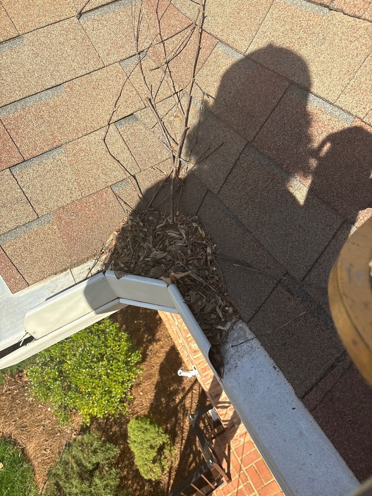 Patio washing window cleaning and gutter cleaning services