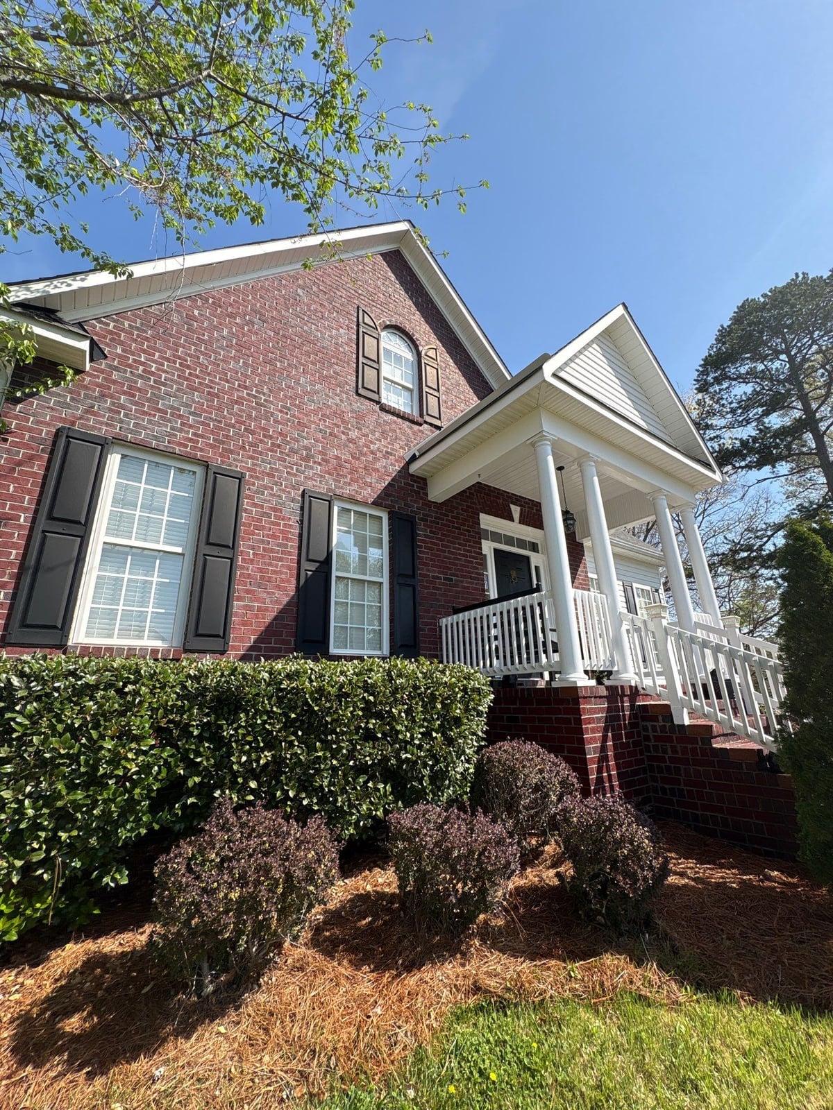 Exterior soft washing of siding and wood deck railings