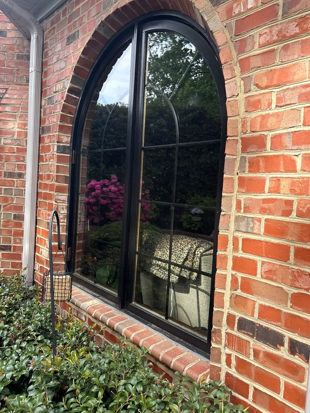 Exterior residential window washing and glass cleaning services