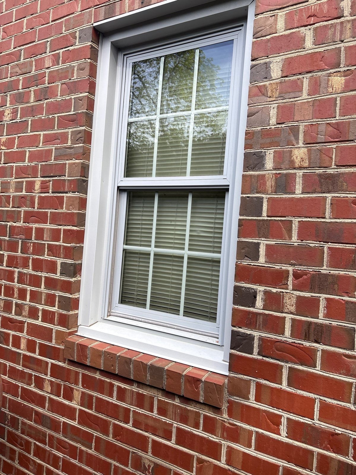 Exterior residential window washing and glass cleaning services