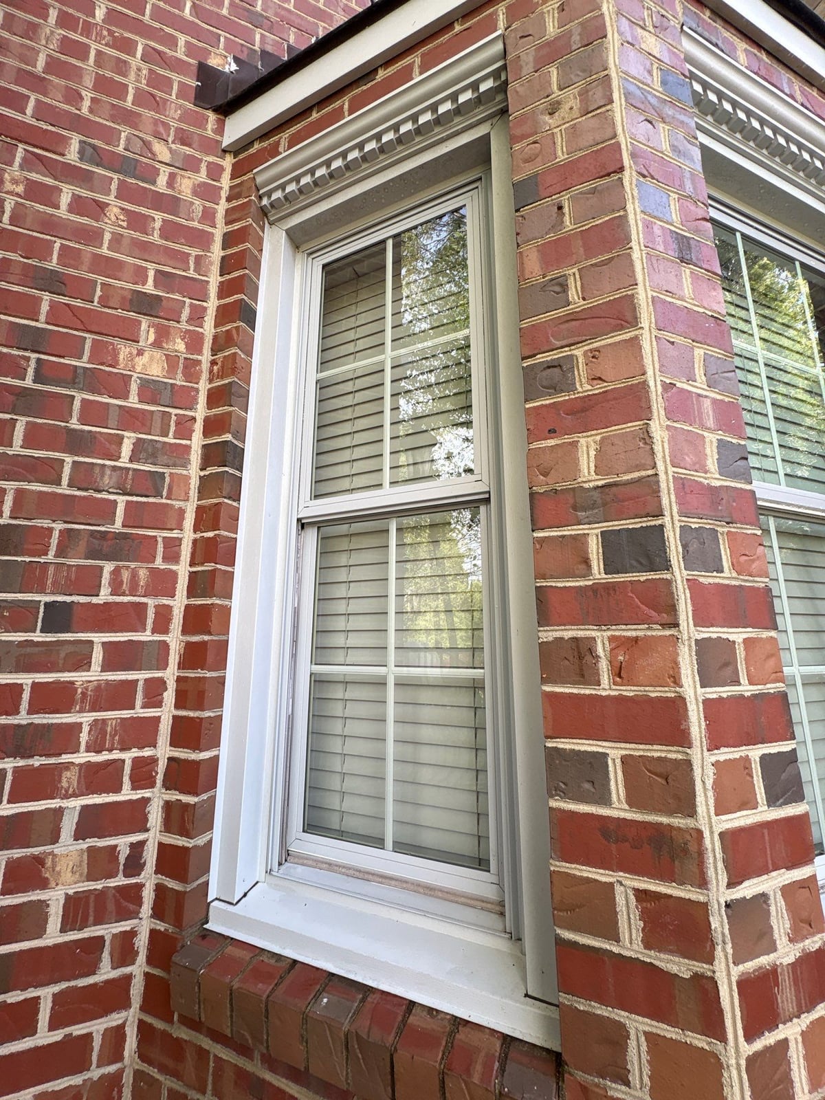 Exterior residential window washing and glass cleaning services