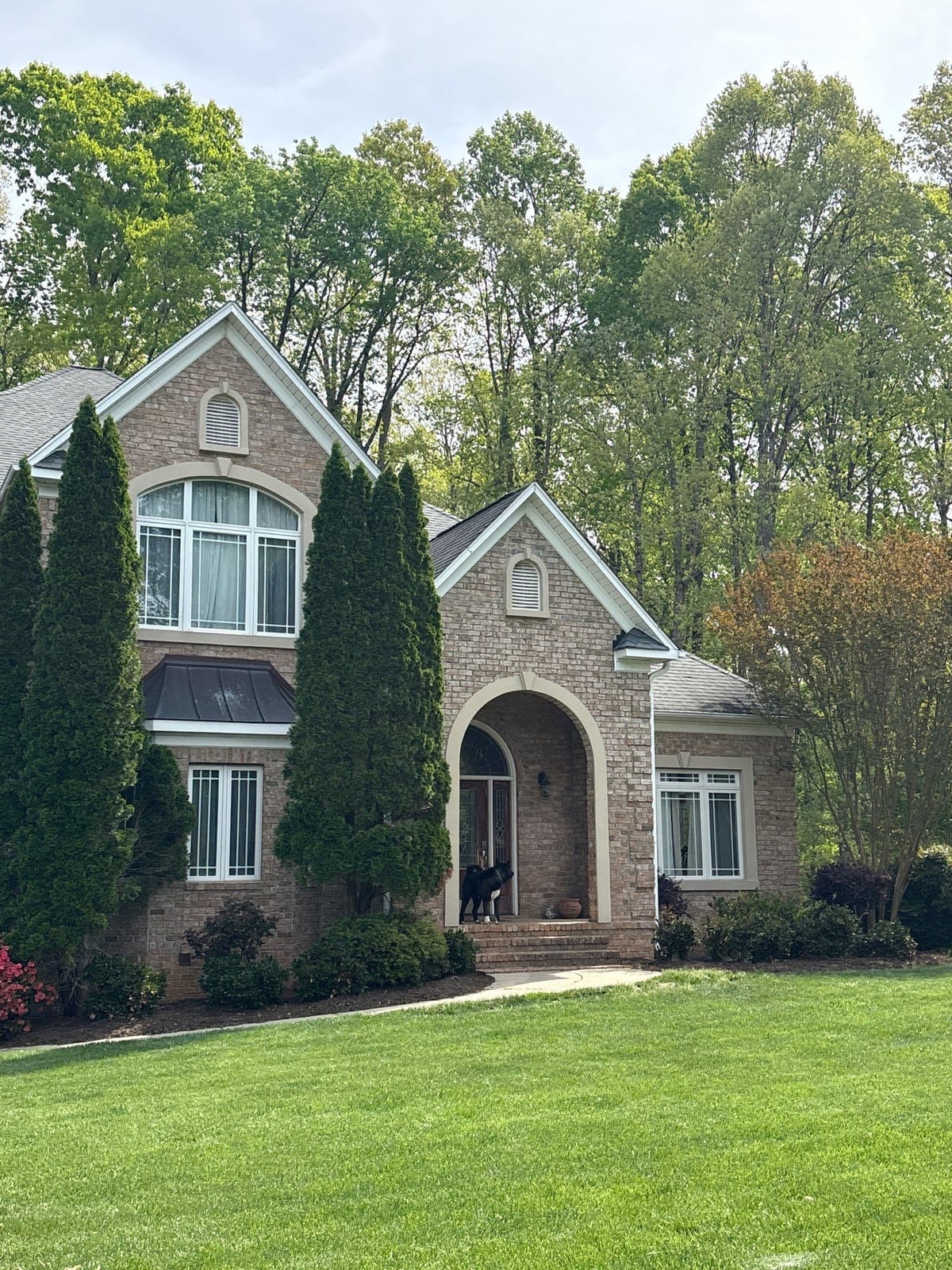Exterior residential window washing and glass cleaning services