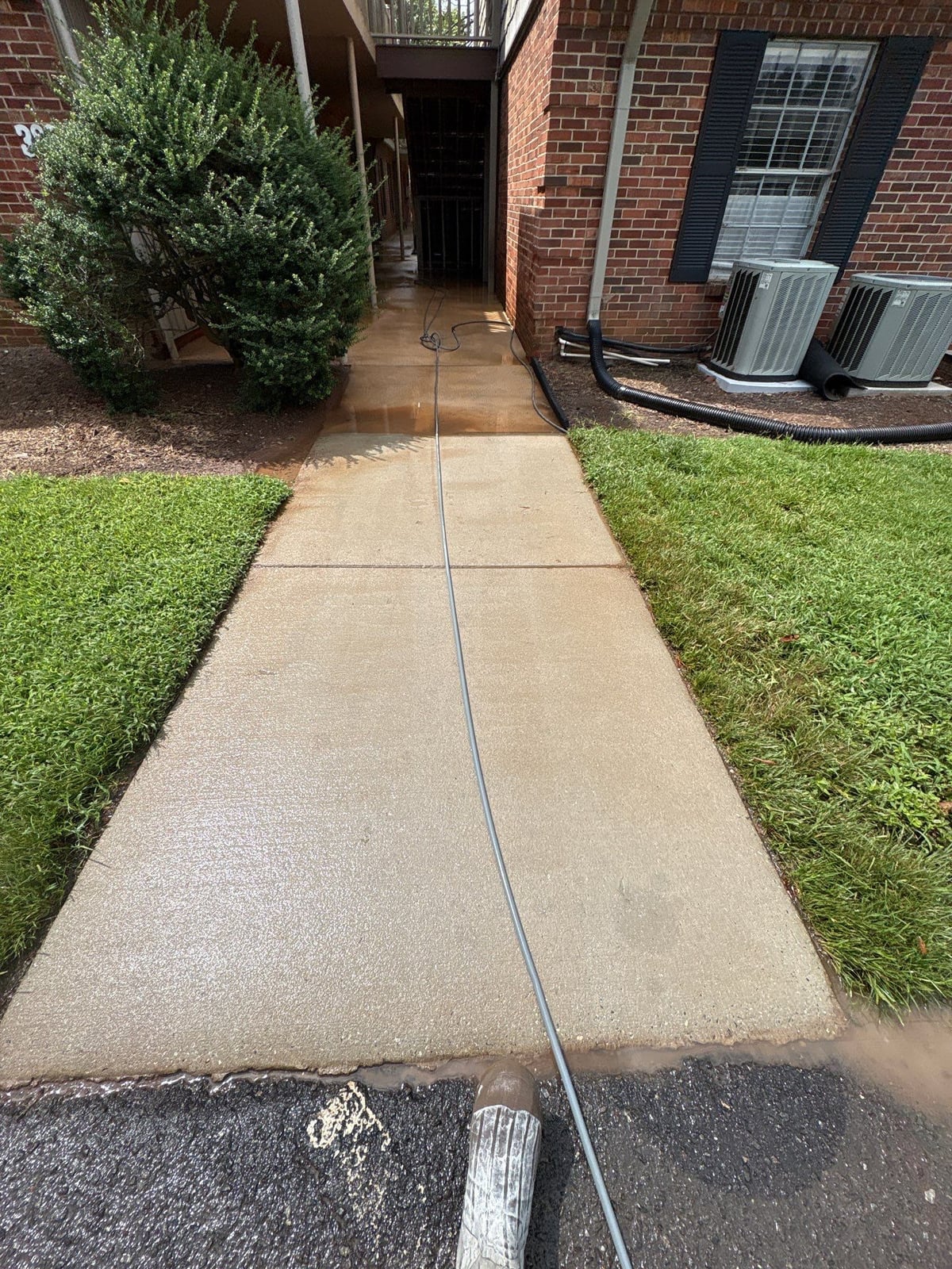 Concrete walkway power washing and exterior surface cleaning