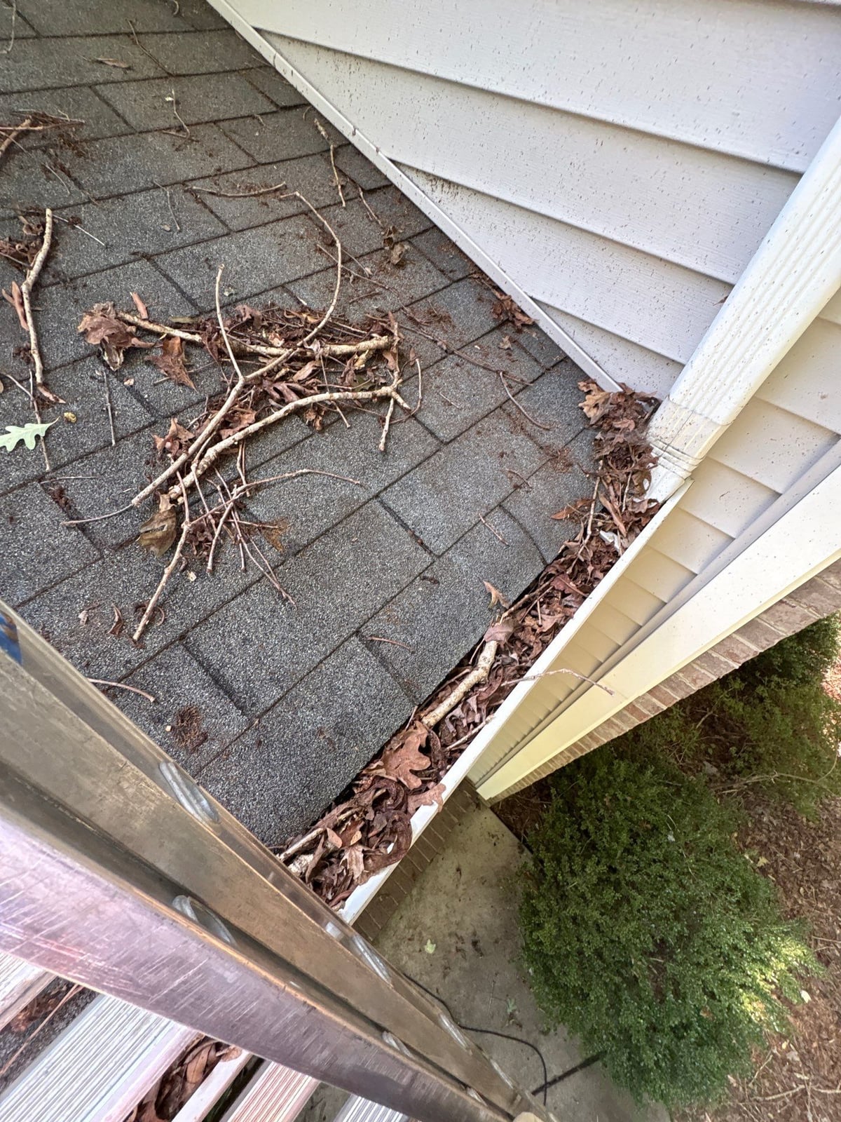 Clearing leaves and debris from house gutter system