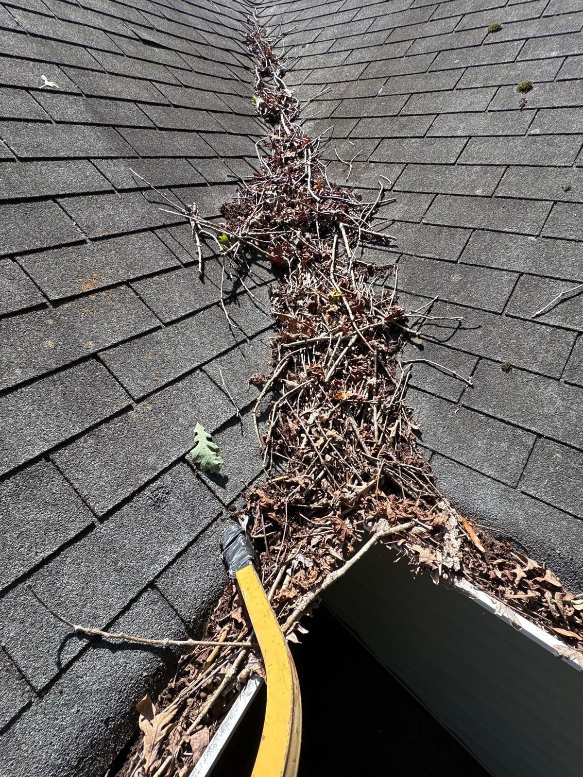 Clearing leaves and debris from house gutter system