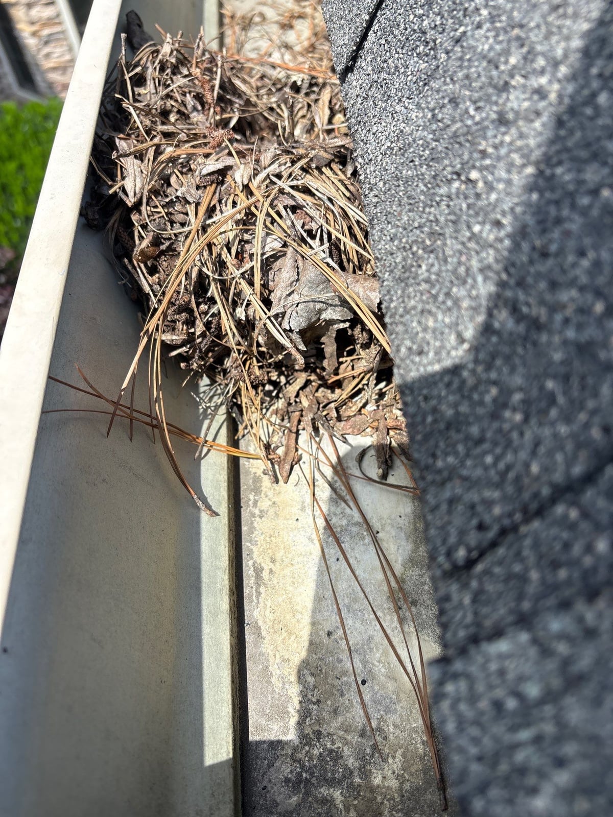 Residential roof gutter cleaning and debris removal