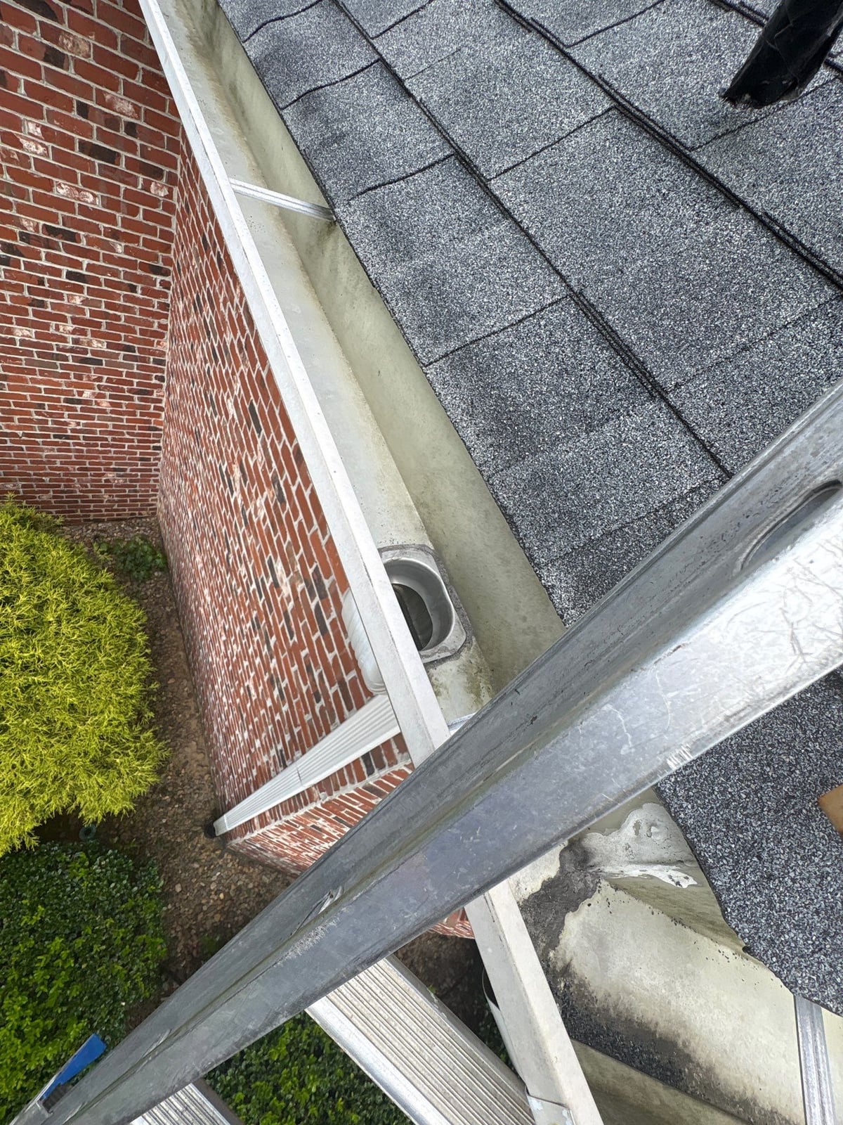 Residential roof gutter cleaning and debris removal