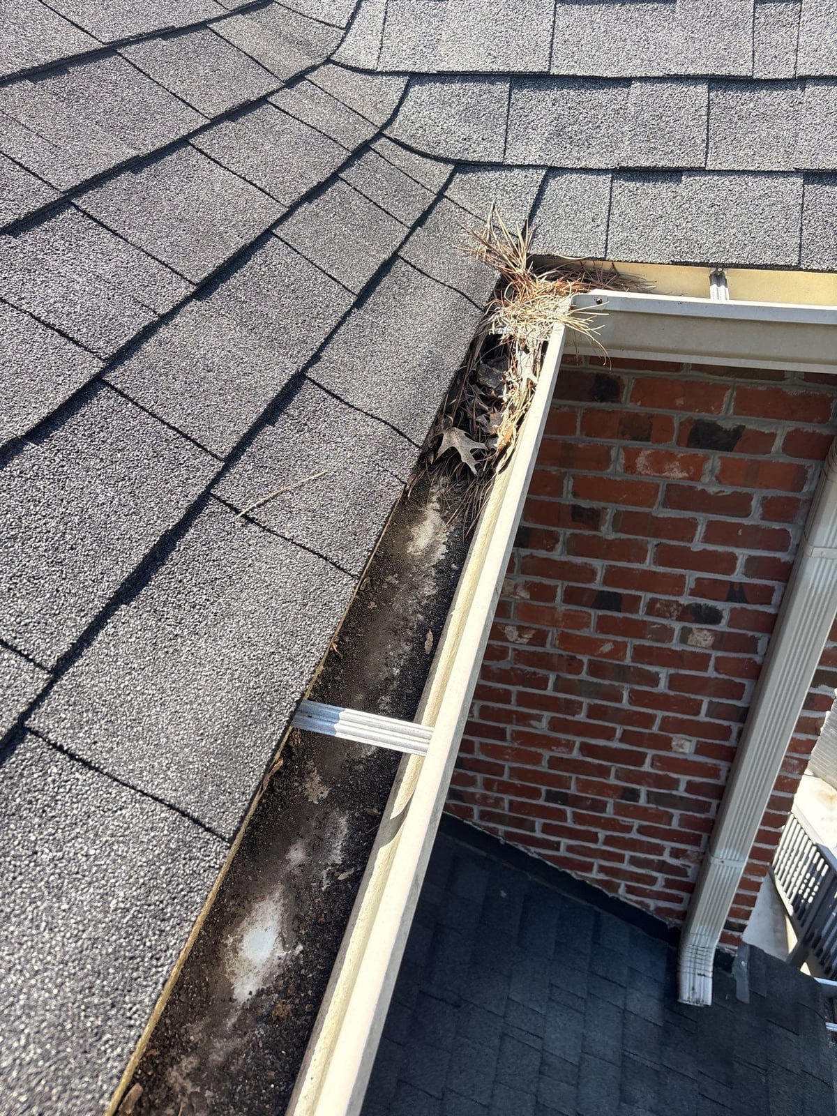 Residential roof gutter cleaning and debris removal