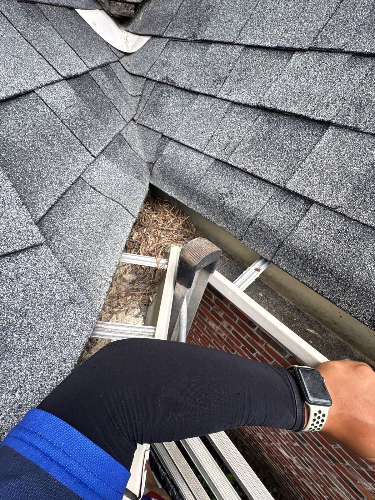 Residential roof gutter cleaning and debris removal