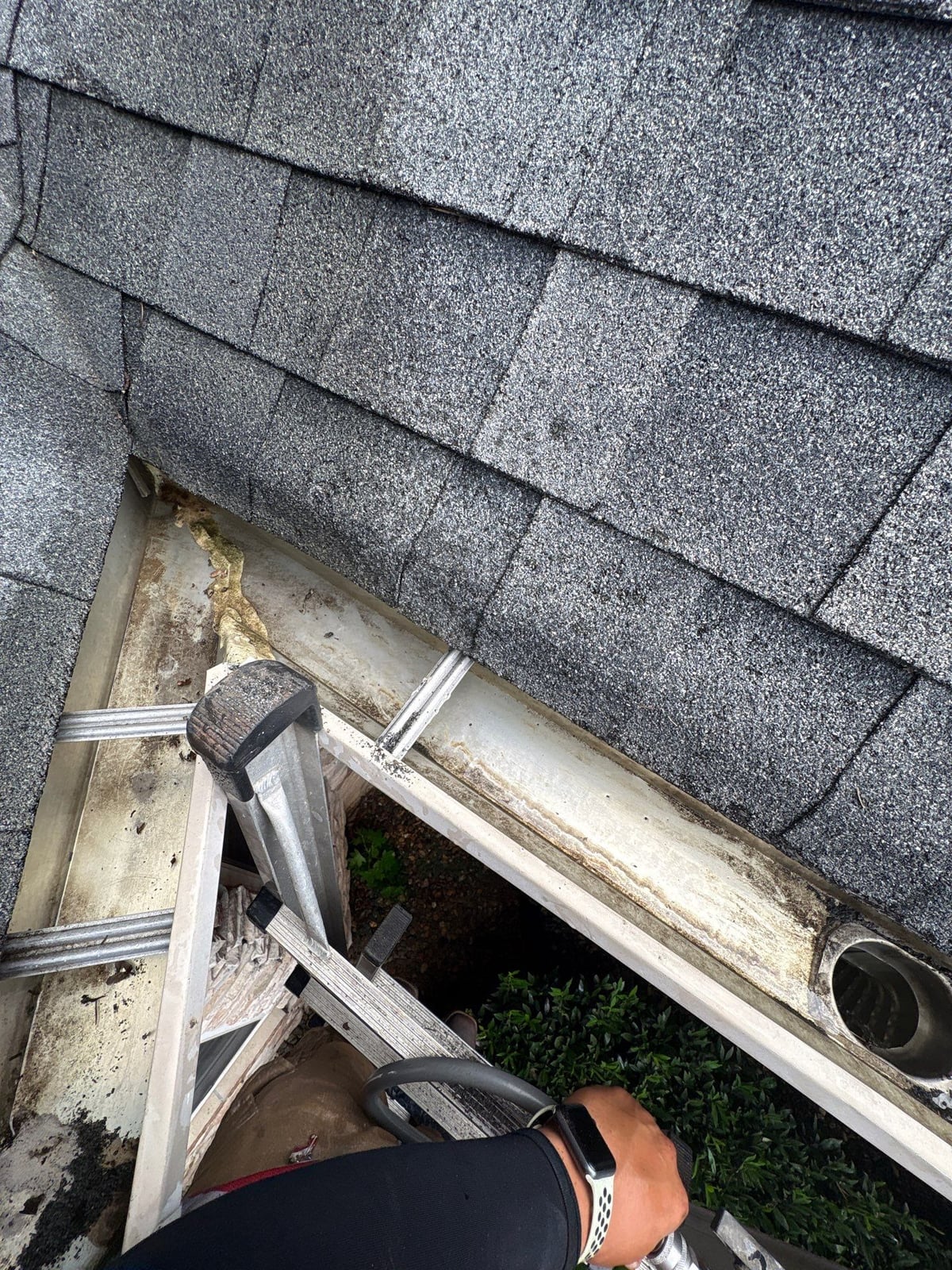 Residential roof gutter cleaning and debris removal