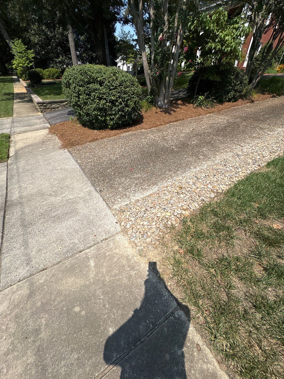 Pressure washing and surface cleaning of residential driveway