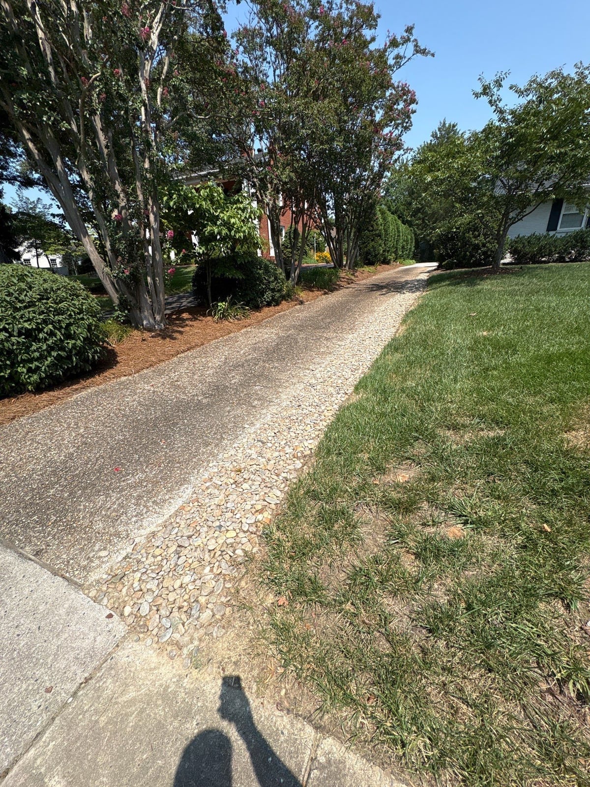 Pressure washing and surface cleaning of residential driveway