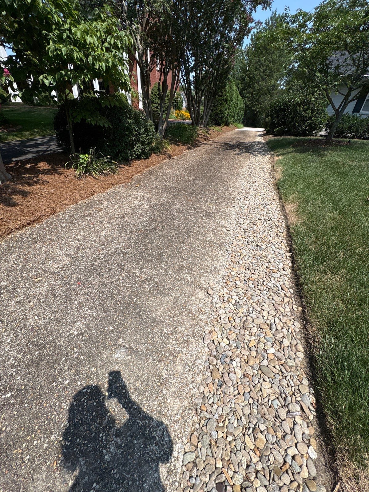 Pressure washing and surface cleaning of residential driveway