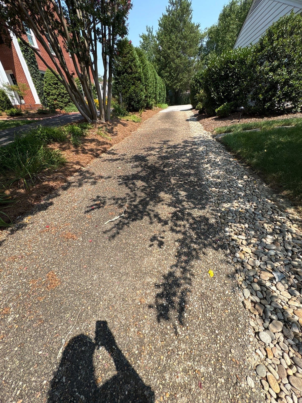 Pressure washing and surface cleaning of residential driveway