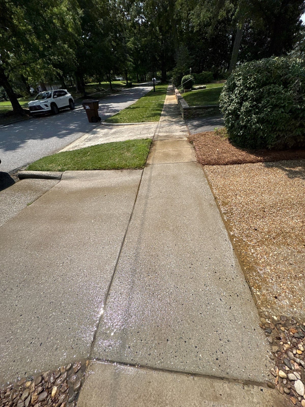 Pressure washing and surface cleaning of residential driveway