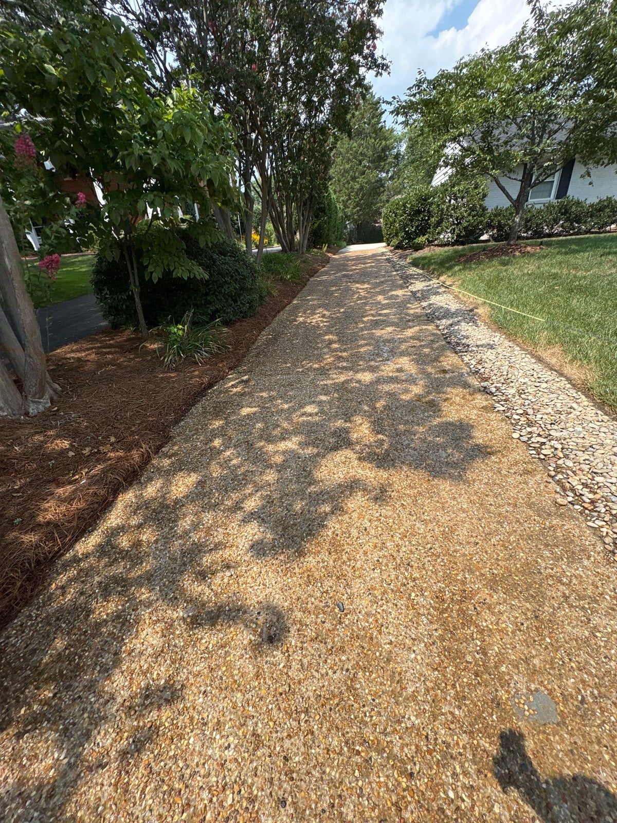 Pressure washing and surface cleaning of residential driveway