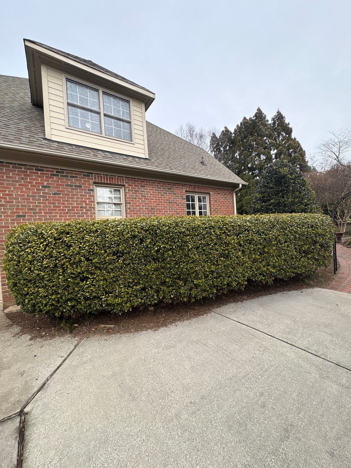 Exterior residential gutter cleaning and downspout debris removal
