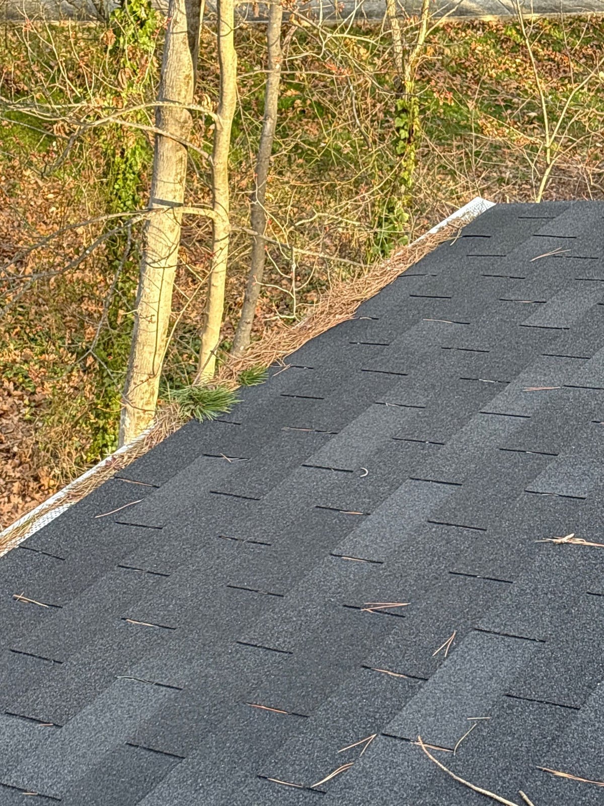 Gutter cleaning and exterior deck power washing services
