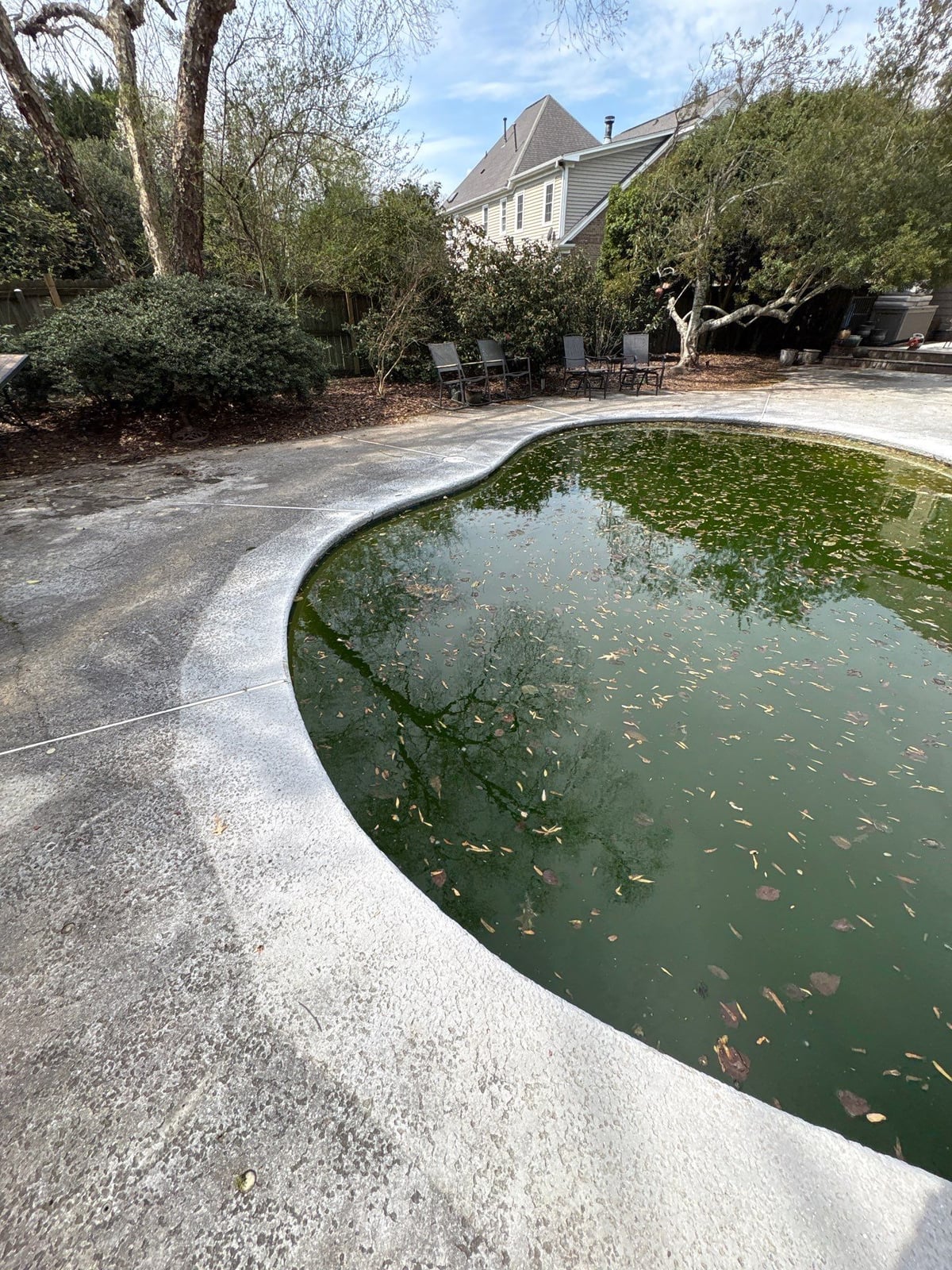Soft washing and cleaning of residential pool deck surface