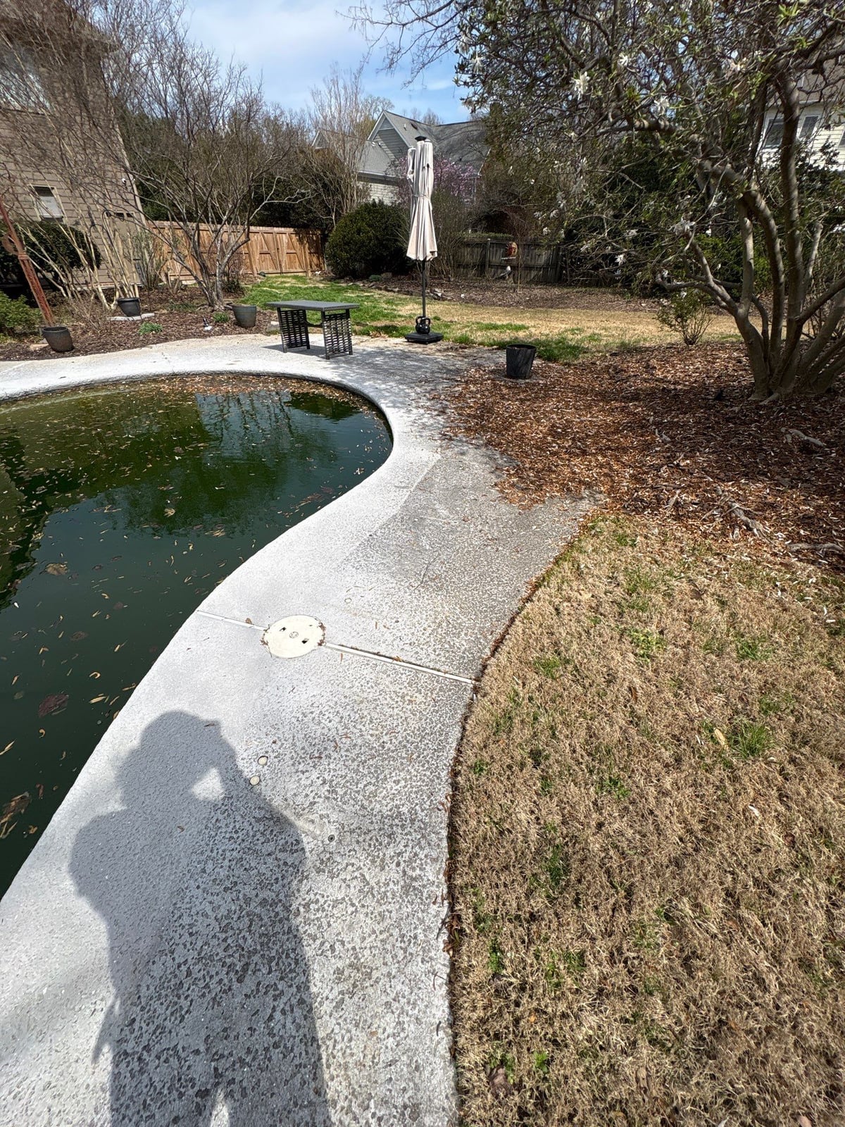 Soft washing and cleaning of residential pool deck surface