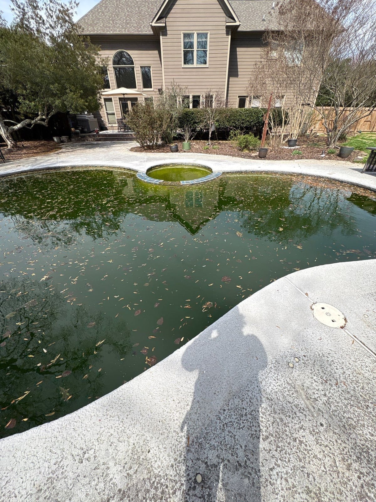 Soft washing and cleaning of residential pool deck surface