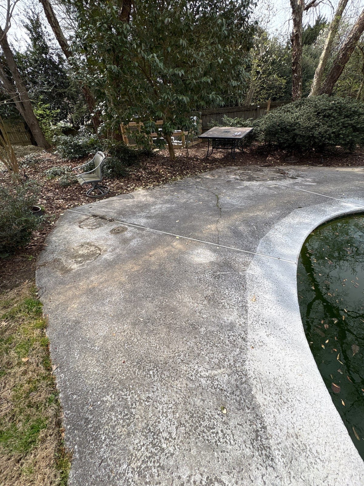 Soft washing and cleaning of residential pool deck surface