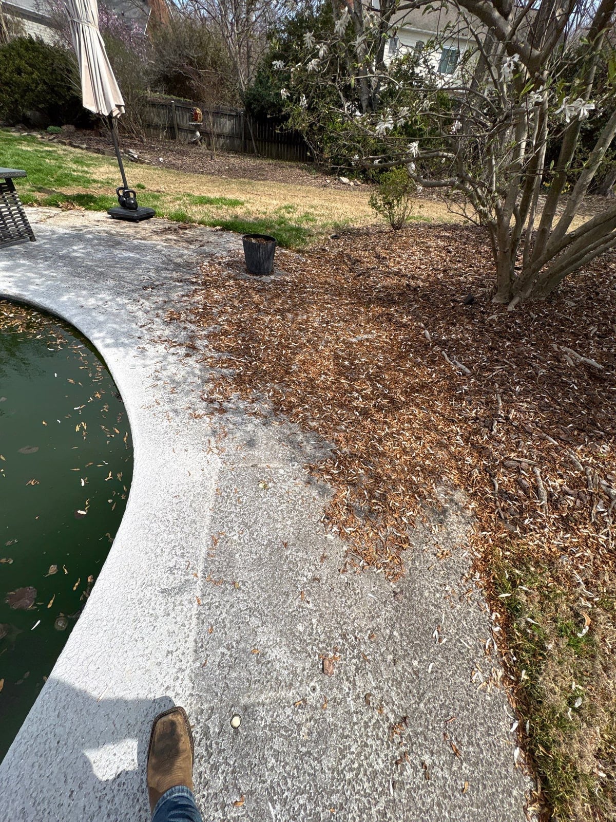 Soft washing and cleaning of residential pool deck surface