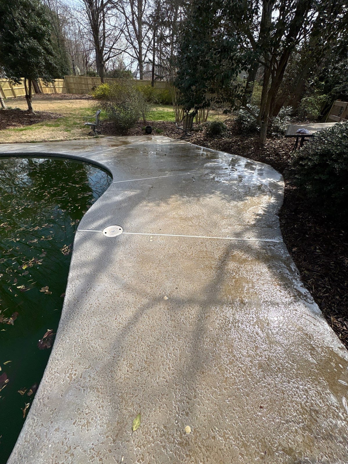 Soft washing and cleaning of residential pool deck surface