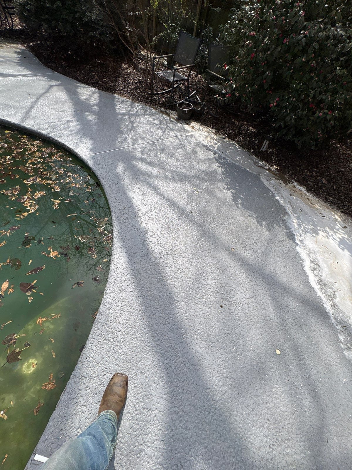 Soft washing and cleaning of residential pool deck surface