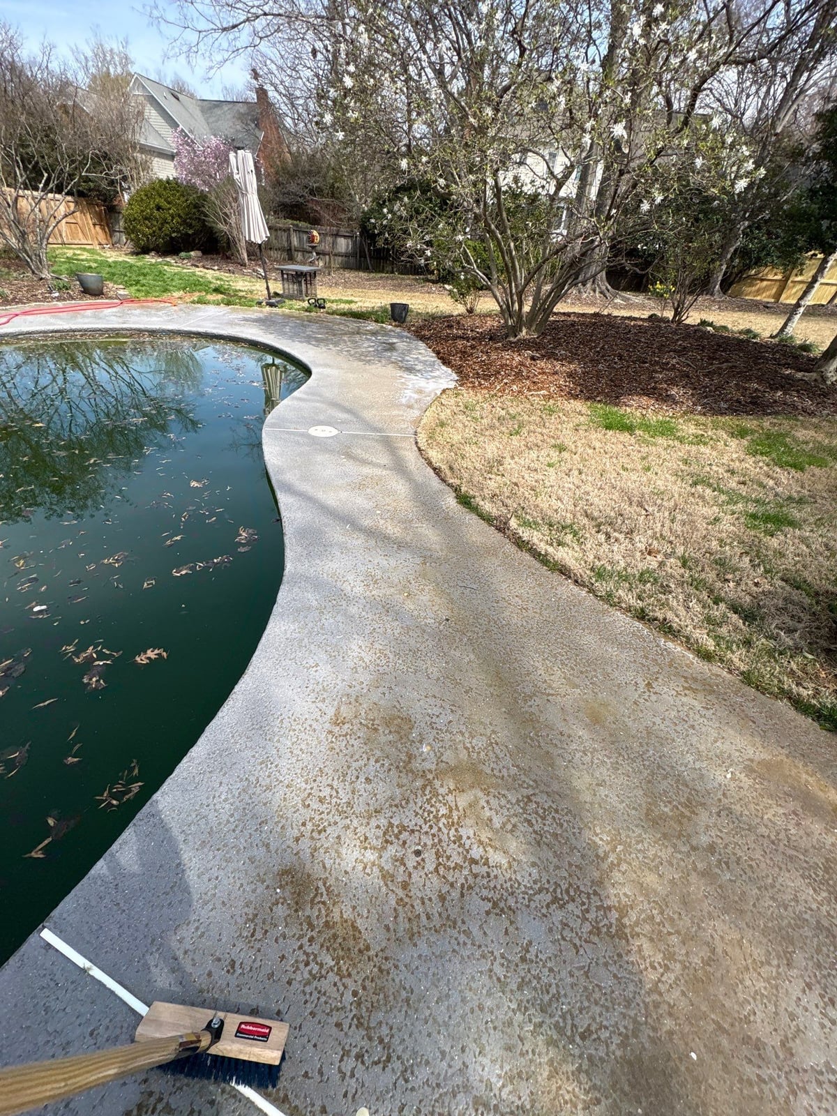 Soft washing and cleaning of residential pool deck surface