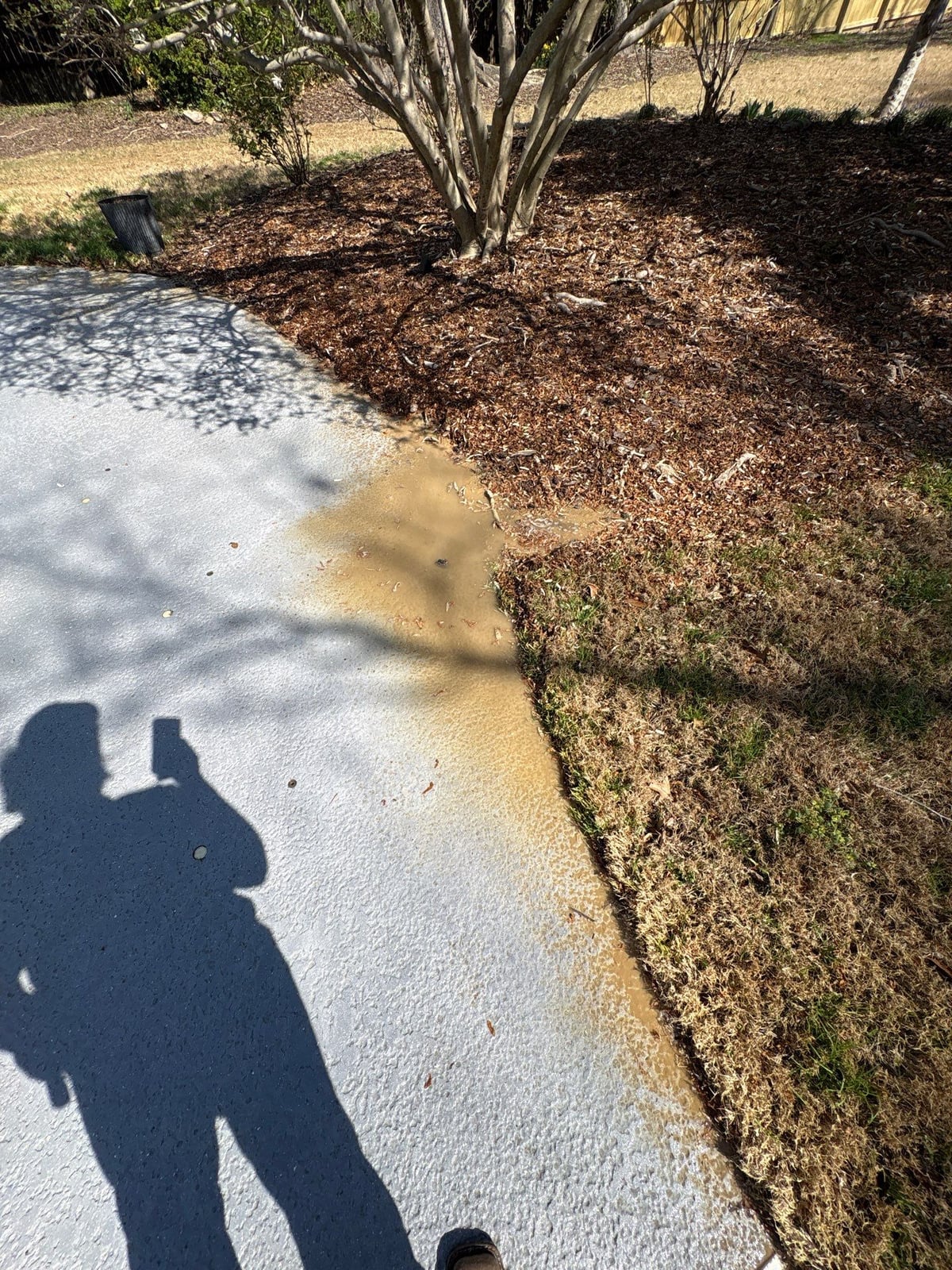 Soft washing and cleaning of residential pool deck surface