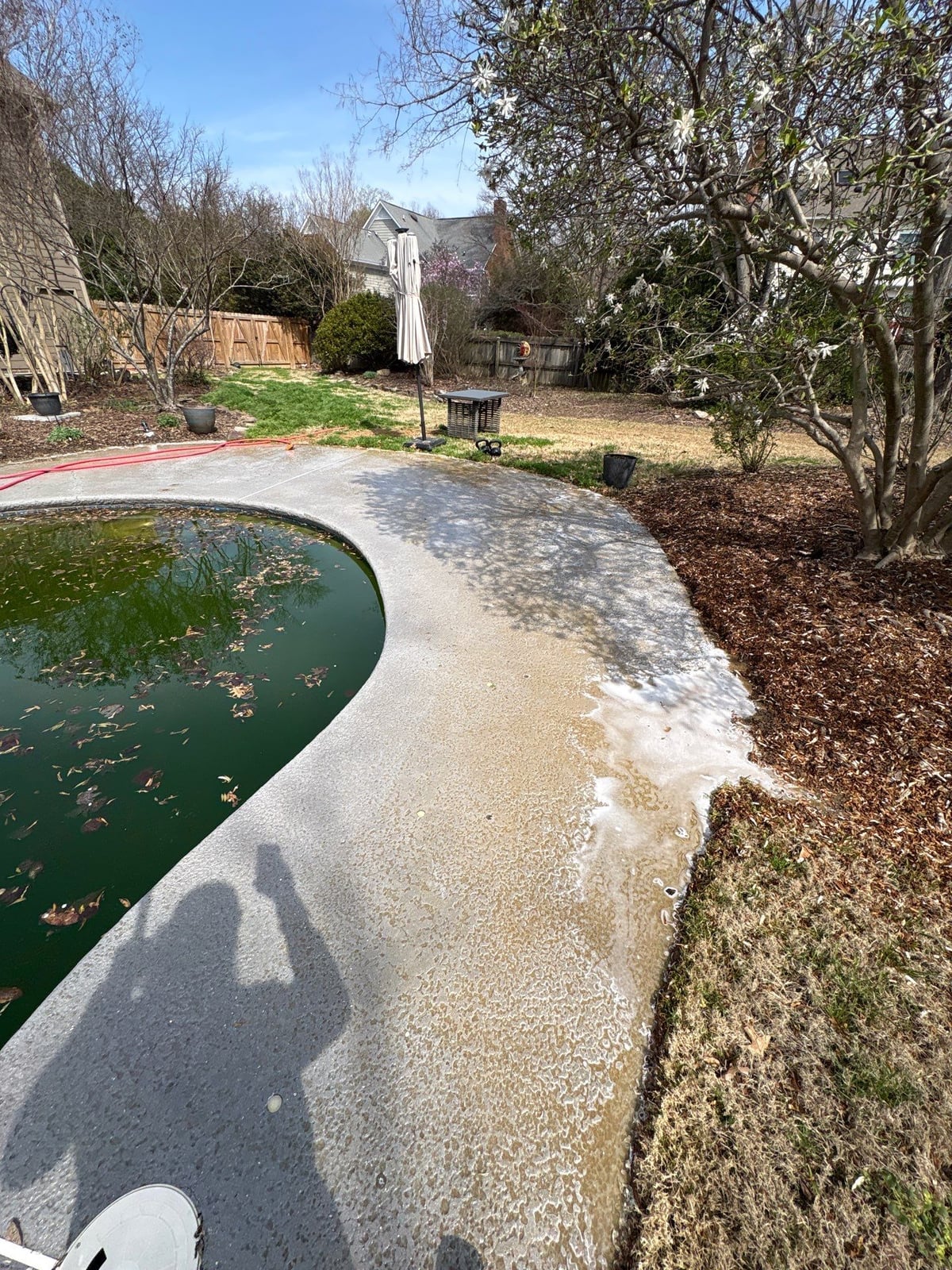 Soft washing and cleaning of residential pool deck surface