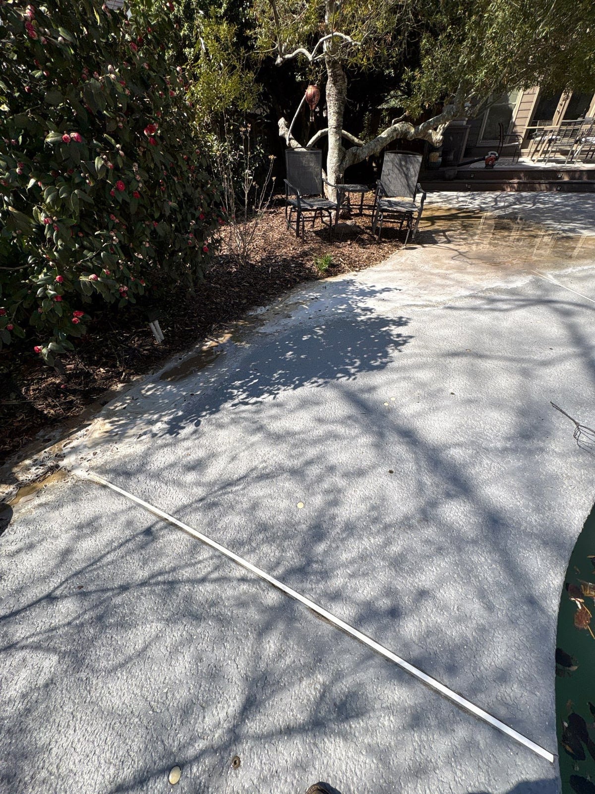 Soft washing and cleaning of residential pool deck surface