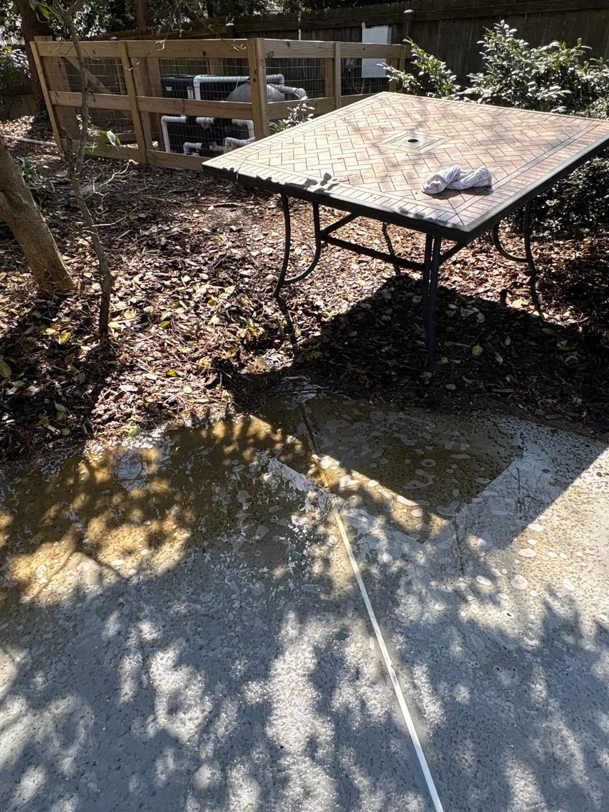 Soft washing and cleaning of residential pool deck surface
