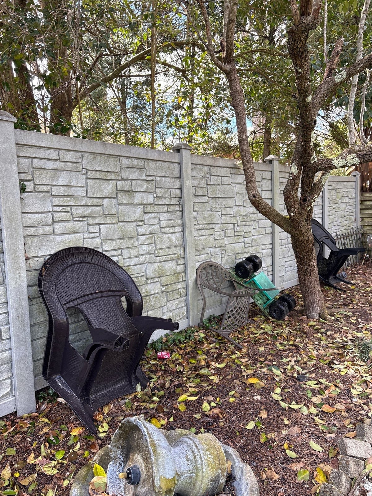 House washing and pressure washing front walkway and fence